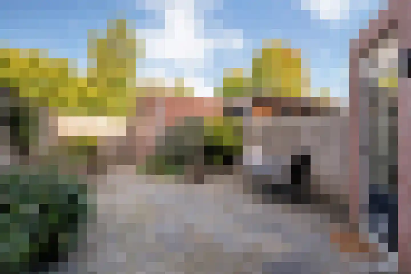 De Boksloot 26 Slagharen thumbnail 33