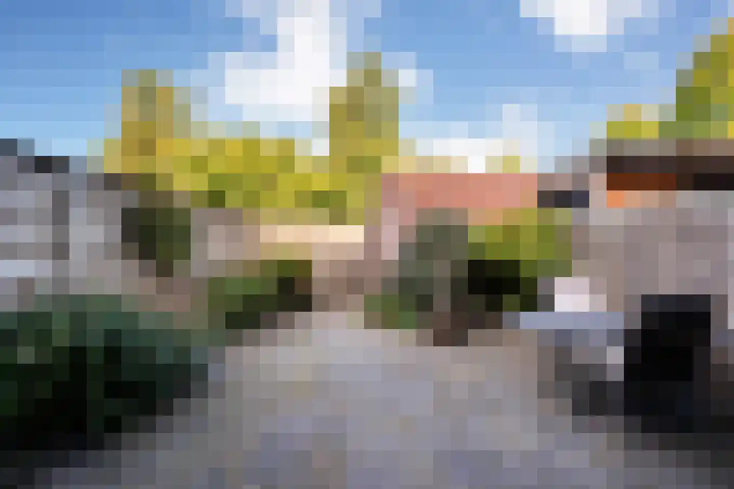 De Boksloot 26 Slagharen thumbnail 34