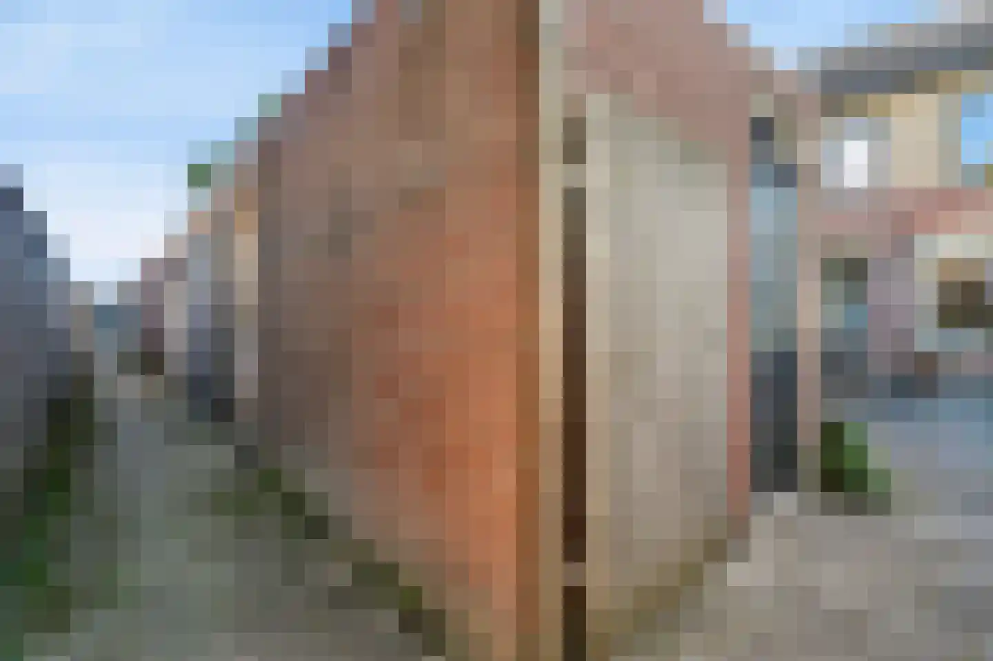 De Boksloot 26 Slagharen thumbnail 37