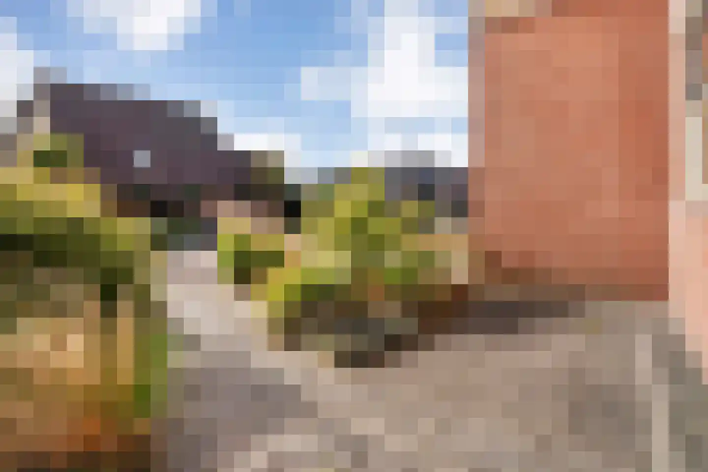 De Boksloot 26 Slagharen thumbnail 41