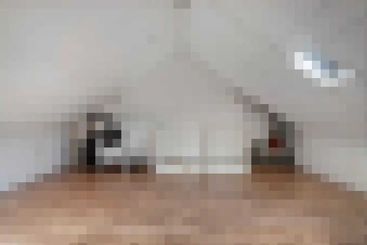 De Boksloot 26 Slagharen thumbnail 7