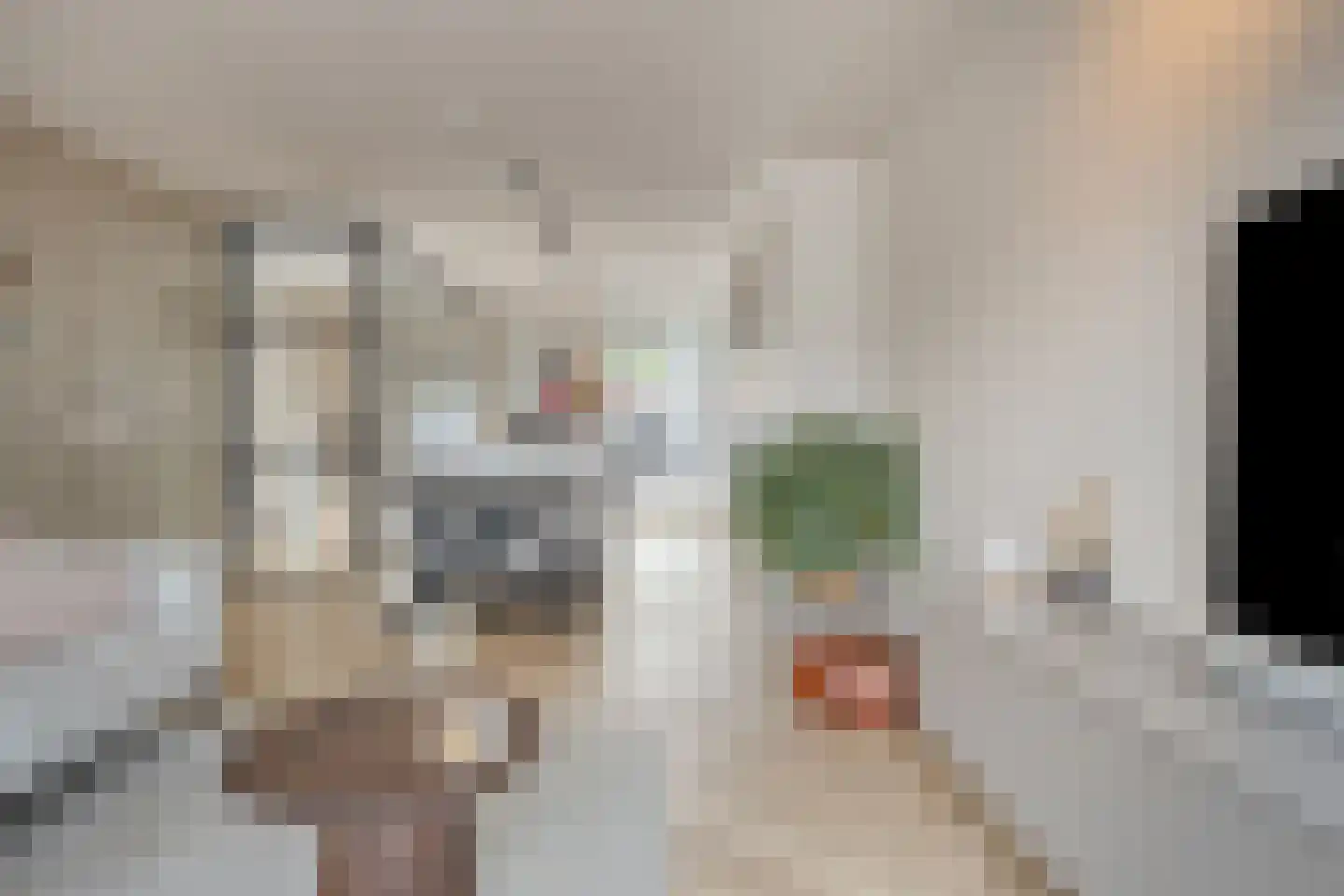 De Bolder 1 Emmeloord thumbnail 12