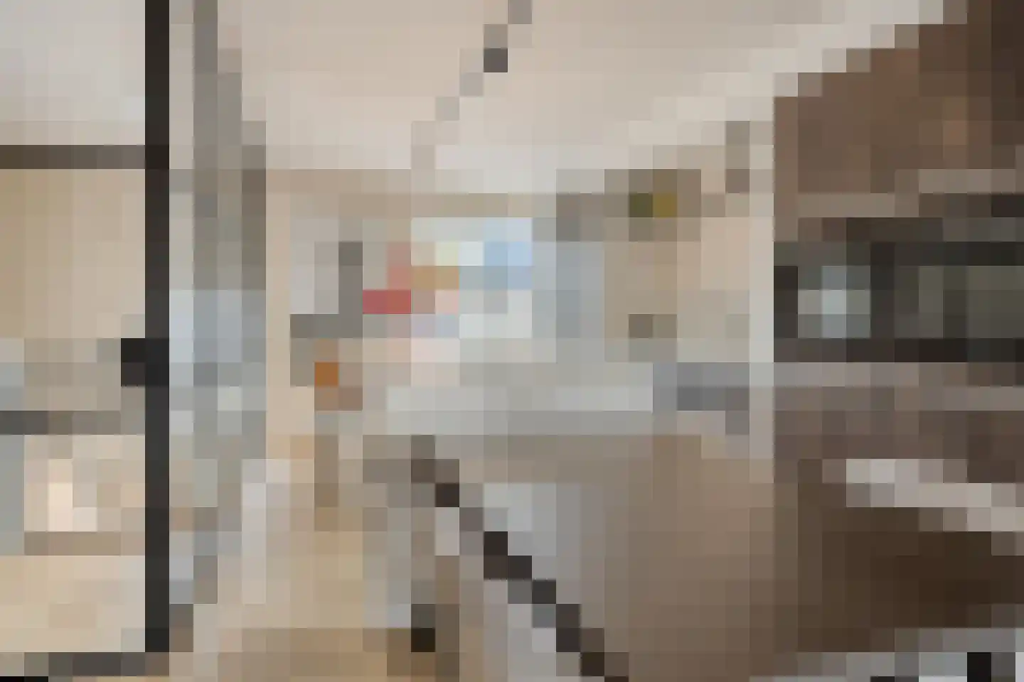 De Bolder 1 Emmeloord thumbnail 14