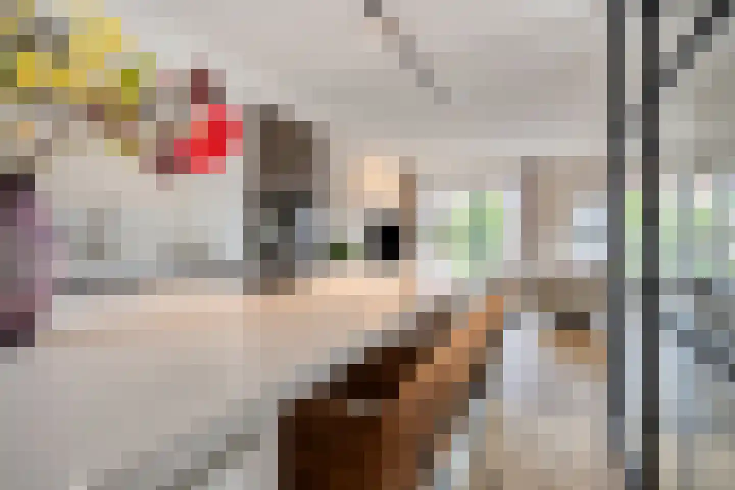 De Bolder 1 Emmeloord thumbnail 16