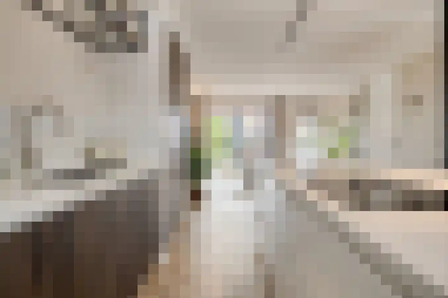 De Bolder 1 Emmeloord thumbnail 18