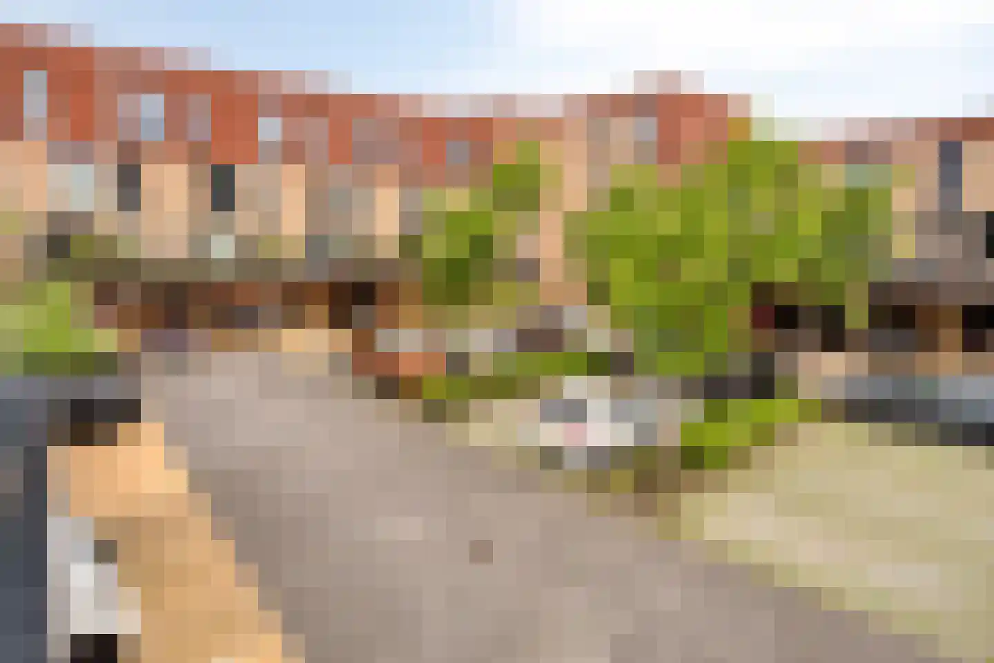 De Bolder 1 Emmeloord thumbnail 24
