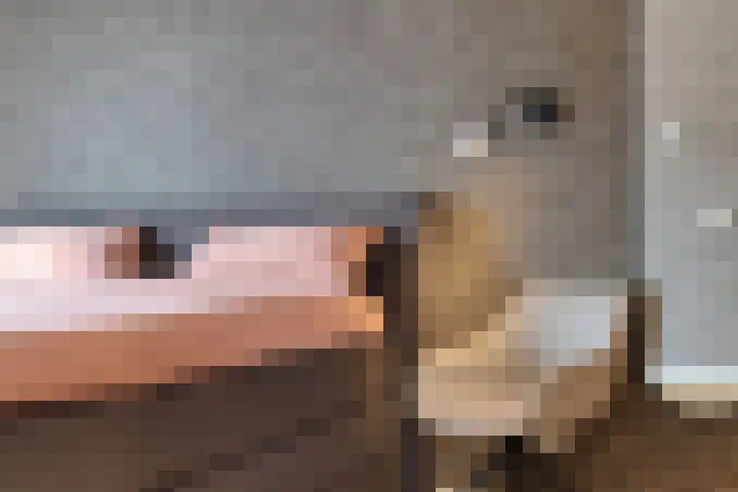 De Bolder 1 Emmeloord thumbnail 26