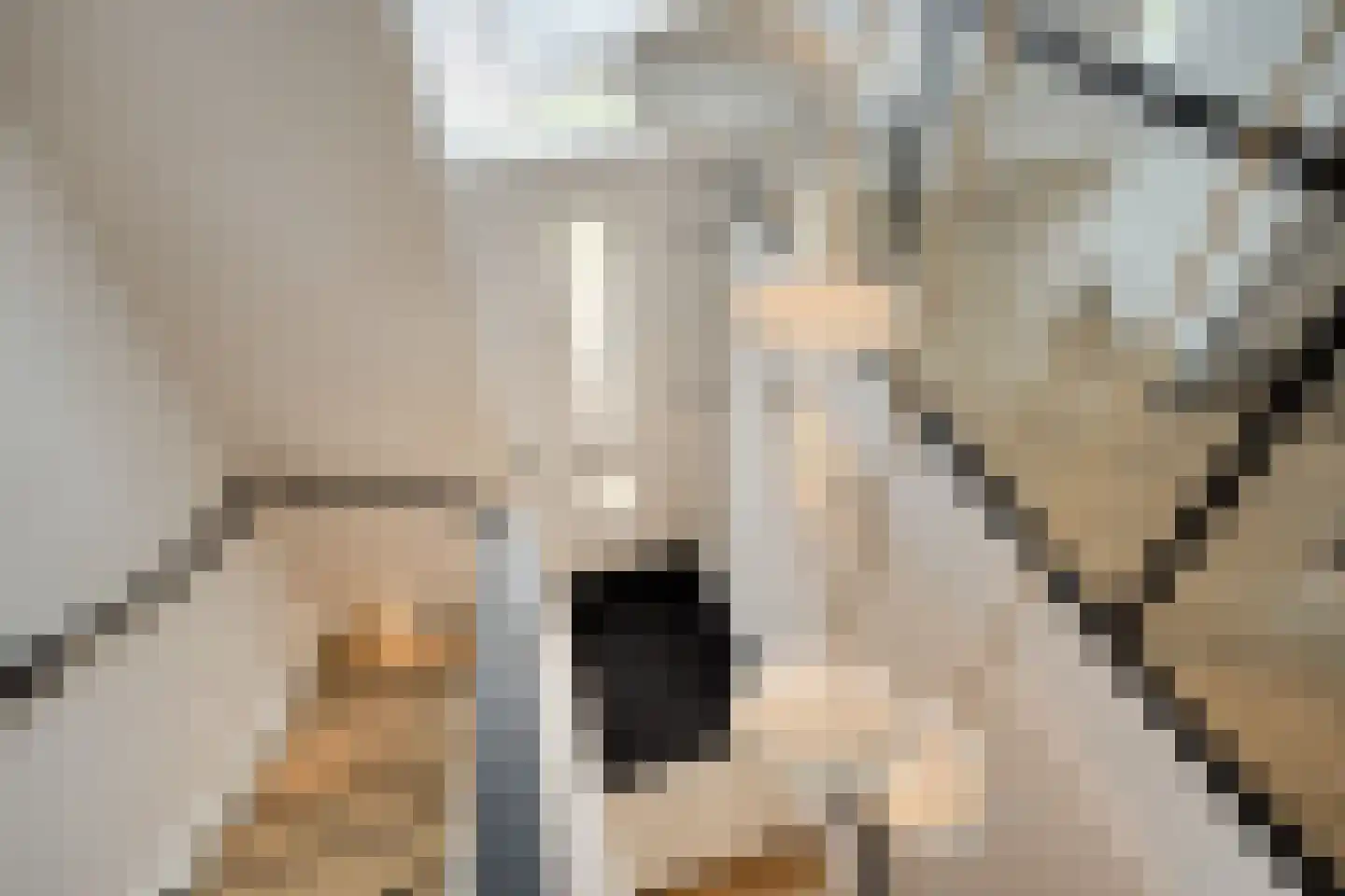 De Bolder 1 Emmeloord thumbnail 7