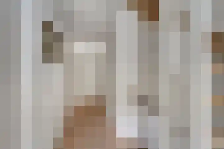 De Bolder 12 Katwijk thumbnail 20