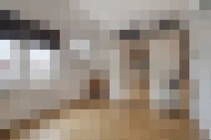 De Bolder 12 Katwijk thumbnail 32