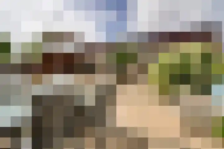 De Bolder 12 Katwijk thumbnail 35