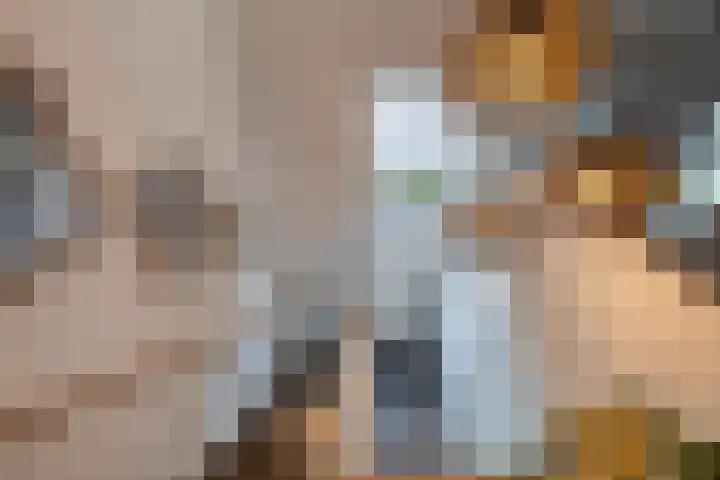 De Bolder 2 Emmeloord thumbnail 10