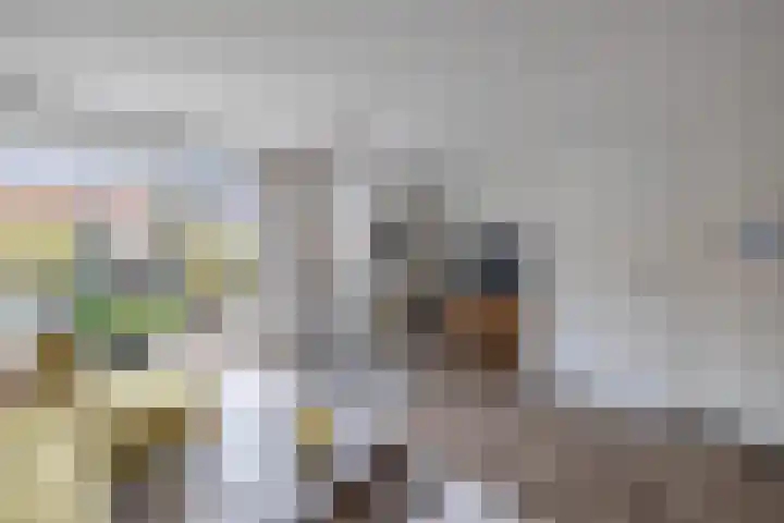 De Bolder 2 Emmeloord thumbnail 12