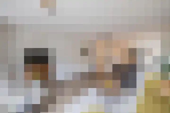 De Bolder 2 Emmeloord thumbnail 16