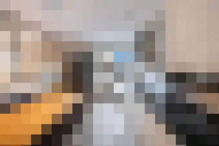 De Bolder 2 Emmeloord thumbnail 19