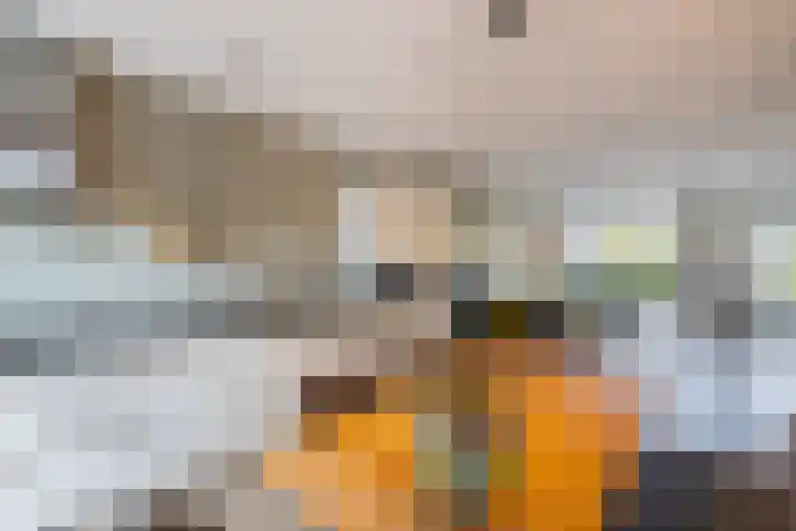 De Bolder 2 Emmeloord thumbnail 20