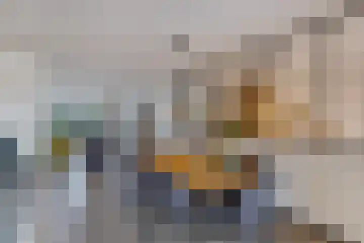 De Bolder 2 Emmeloord thumbnail 21