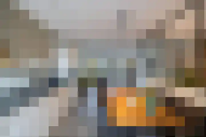 De Bolder 2 Emmeloord thumbnail 22