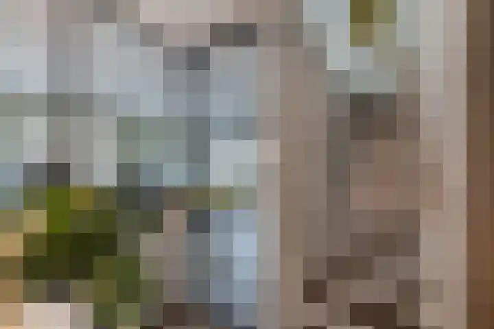 De Bolder 2 Emmeloord thumbnail 23