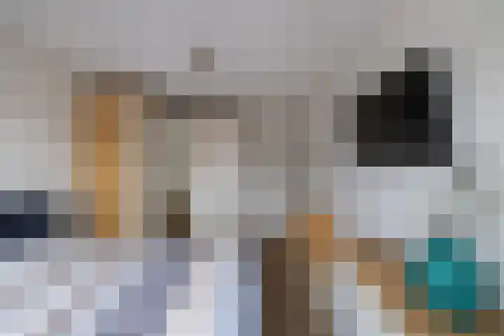 De Bolder 2 Emmeloord thumbnail 25