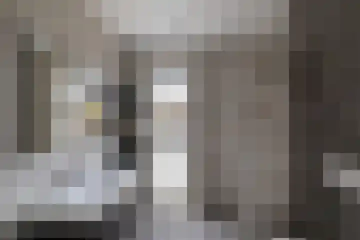De Bolder 2 Emmeloord thumbnail 29