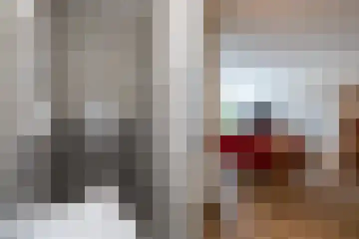De Bolder 2 Emmeloord thumbnail 6