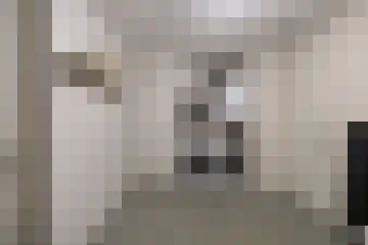 De Bolder 2 Emmeloord thumbnail 9