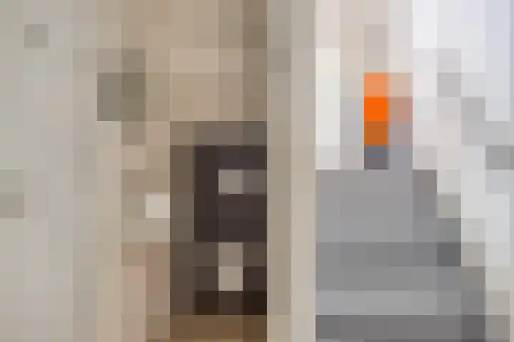 De Bolder 5 Emmeloord thumbnail 14