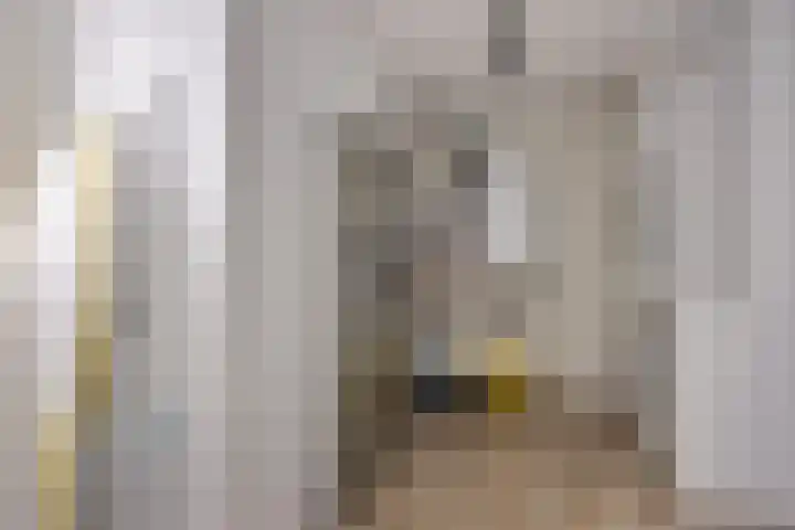 De Bolder 5 Emmeloord thumbnail 16