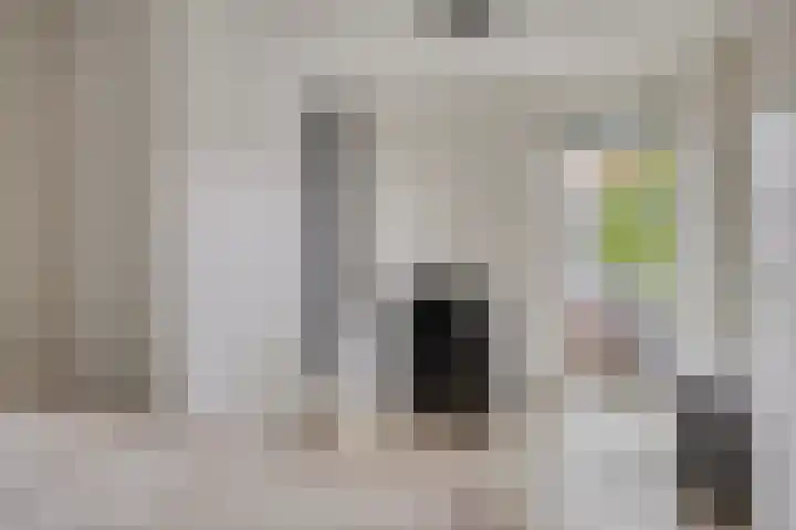 De Bolder 5 Emmeloord thumbnail 22