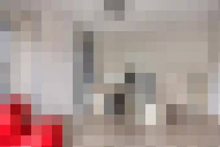 De Bolder 5 Emmeloord thumbnail 23