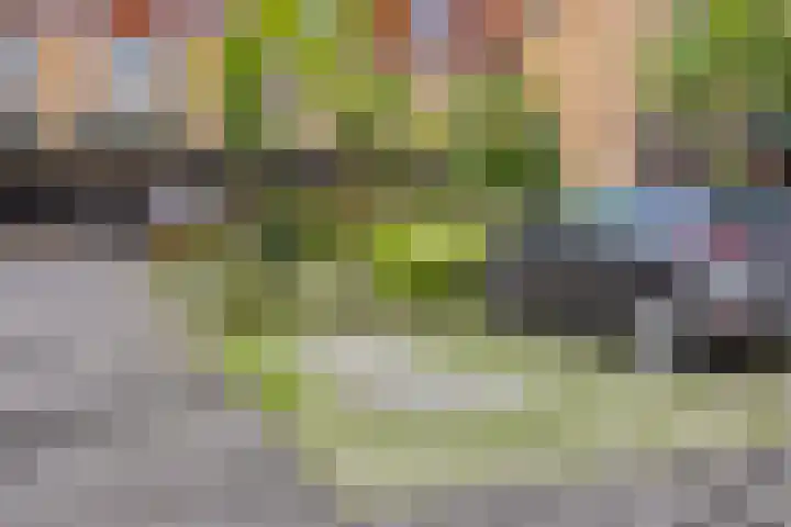 De Bolder 5 Emmeloord thumbnail 36