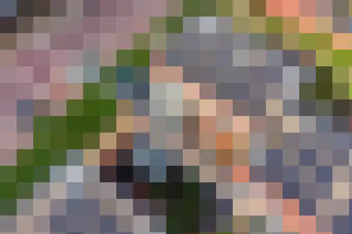 De Bolder 5 Emmeloord thumbnail 37
