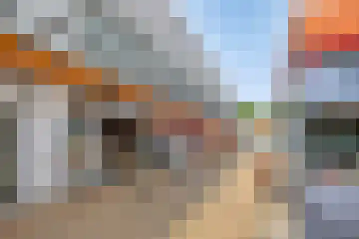 De Bolder 5 Emmeloord thumbnail 39