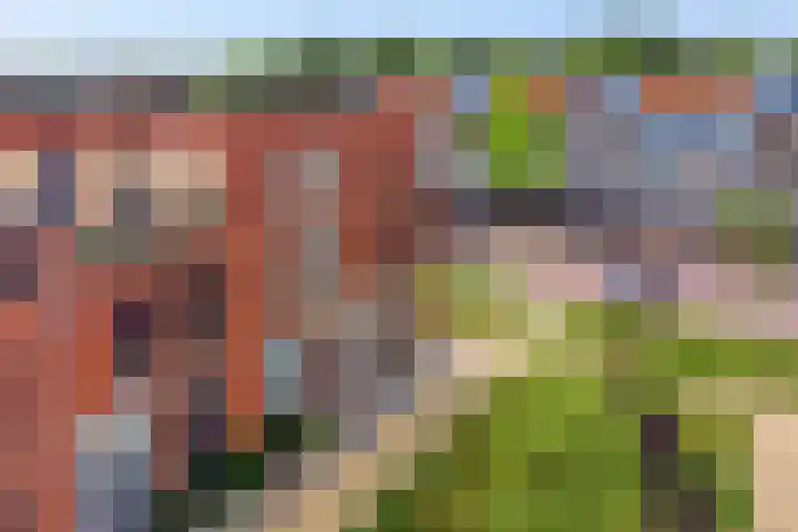 De Bolder 5 Emmeloord thumbnail 4