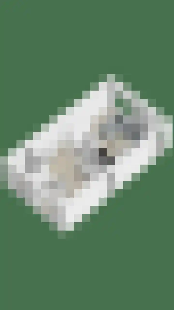 De Bolder 5 Emmeloord thumbnail 47