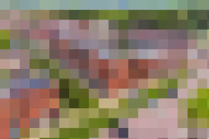 De Bolder 5 Emmeloord thumbnail 5