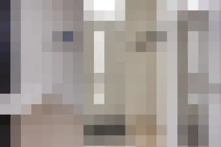 De Bolder 5 Emmeloord thumbnail 9