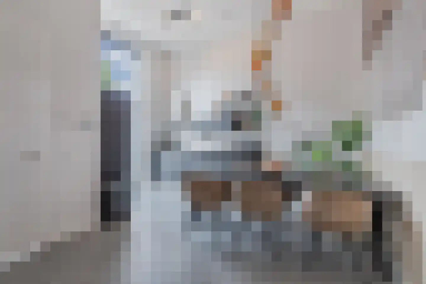 De Bolder 6 Emmeloord thumbnail 10