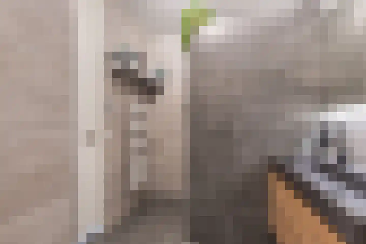 De Bolder 6 Emmeloord thumbnail 22