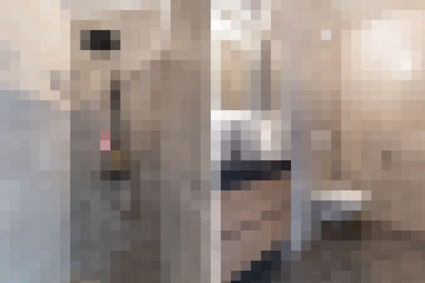 De Bolder 6 Emmeloord thumbnail 23