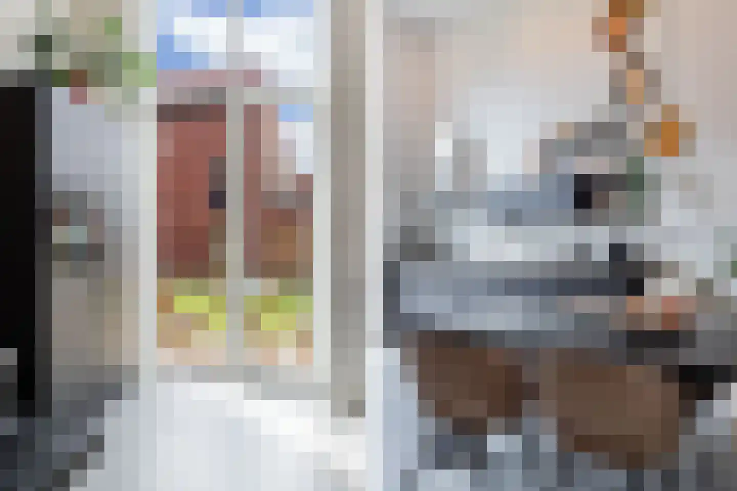 De Bolder 6 Emmeloord thumbnail 4