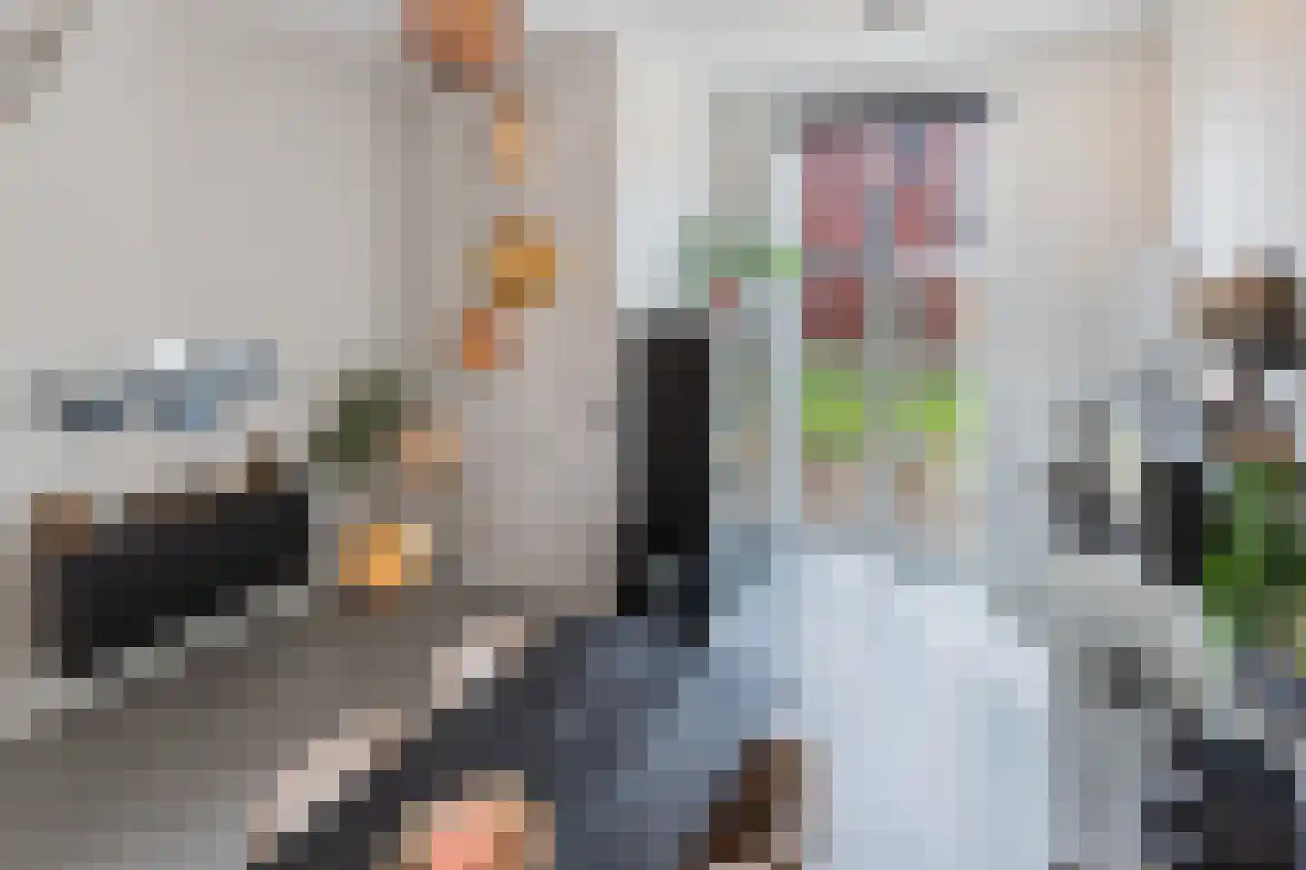 De Bolder 6 Emmeloord thumbnail 9