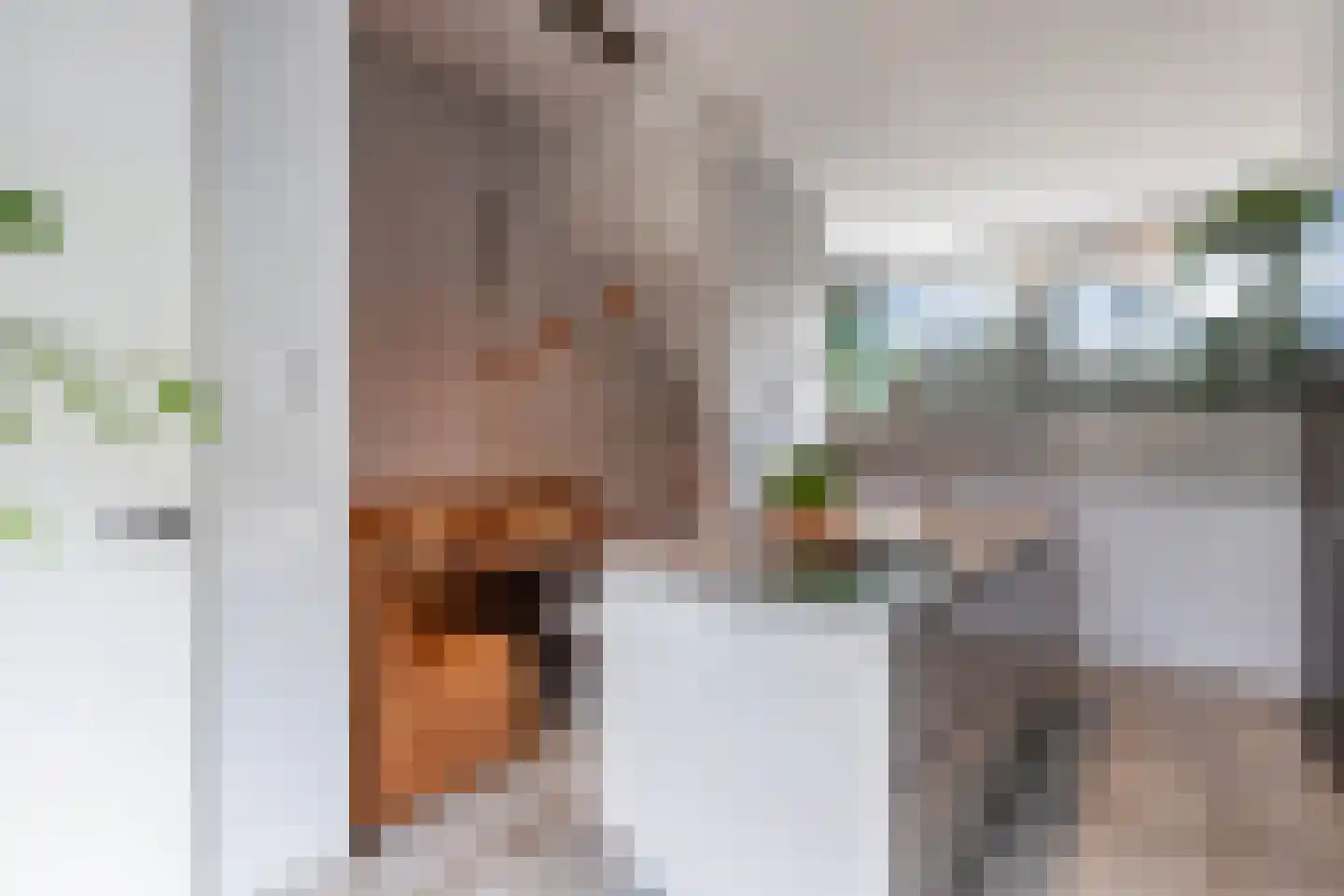 De Bolder 9 Emmeloord thumbnail 14