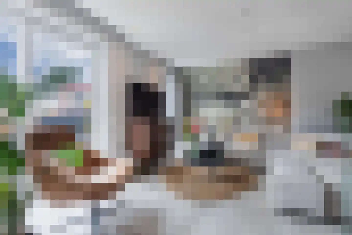 De Bolder 9 Emmeloord thumbnail 22