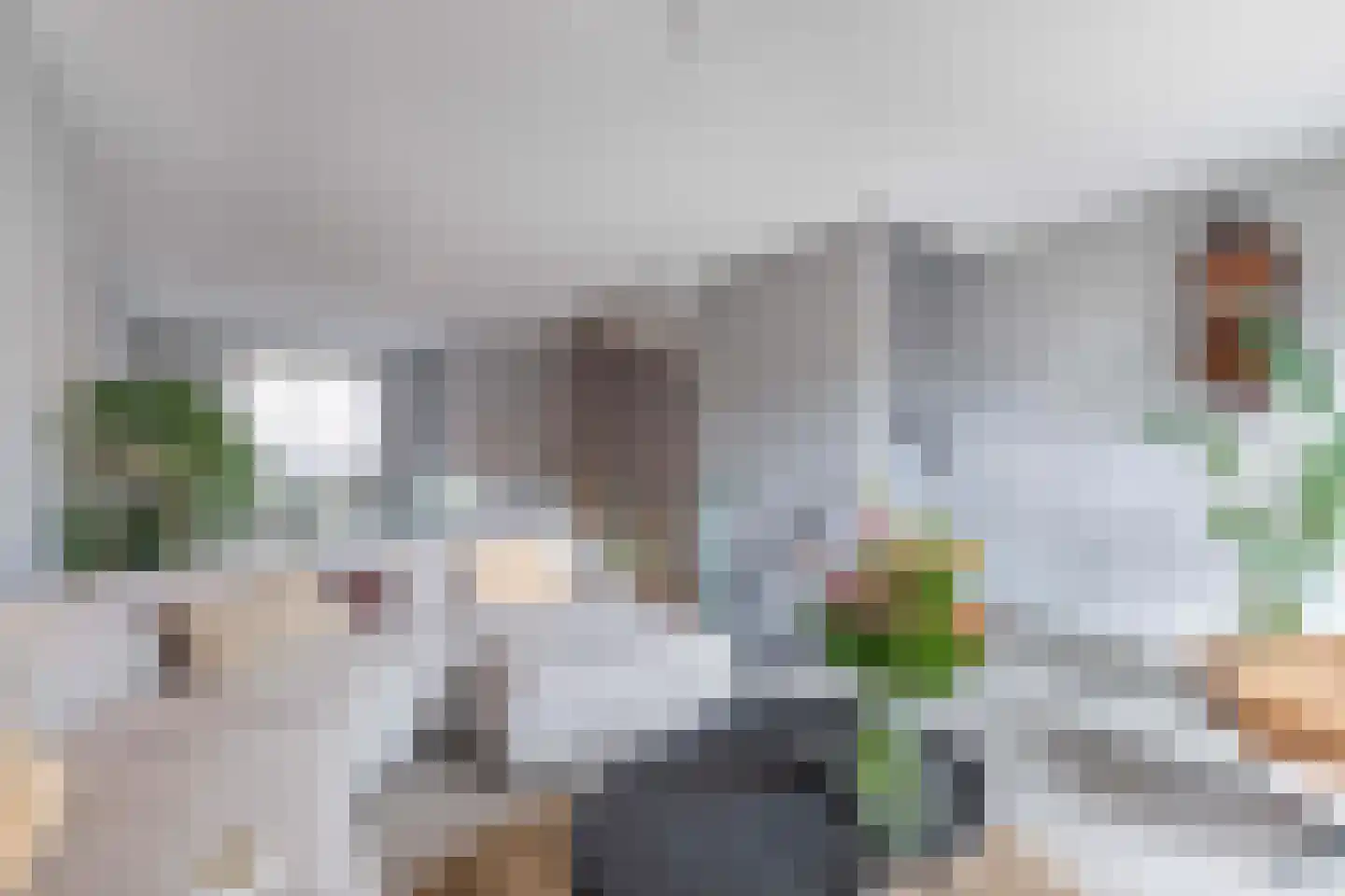 De Bolder 9 Emmeloord thumbnail 24