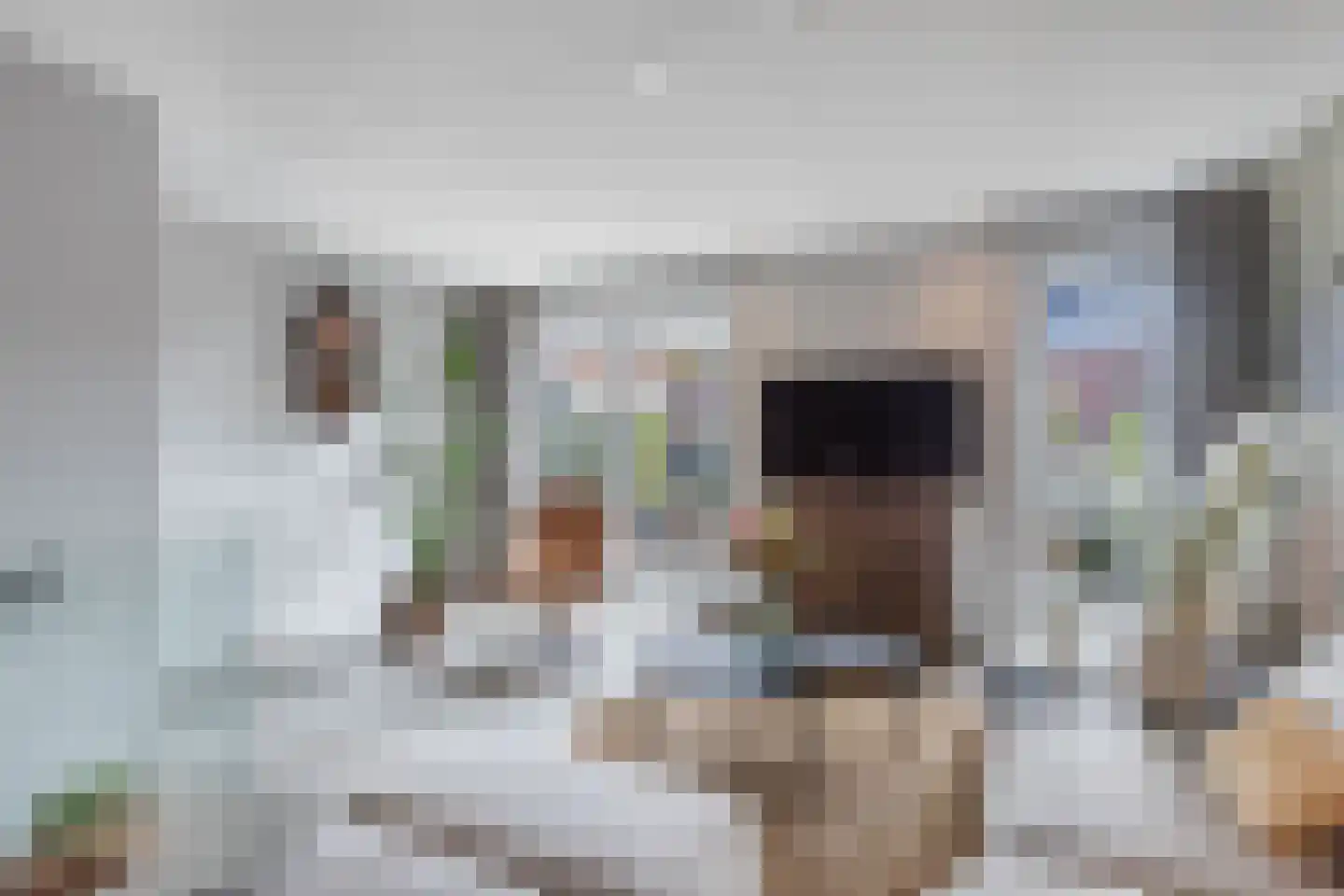 De Bolder 9 Emmeloord thumbnail 25
