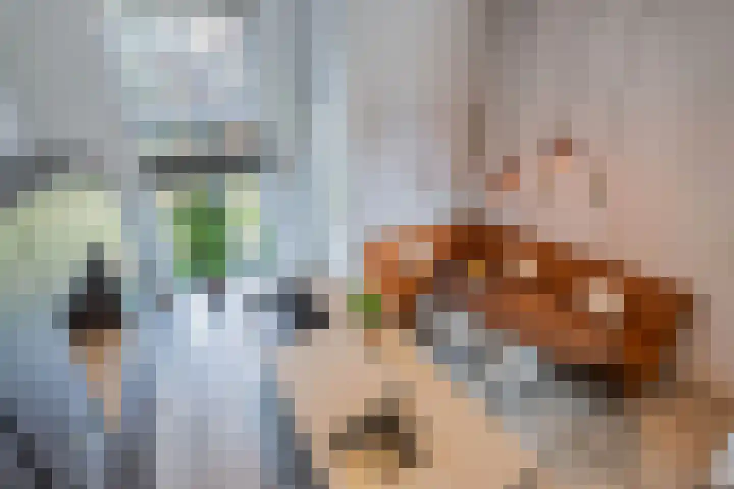 De Bolder 9 Emmeloord thumbnail 31