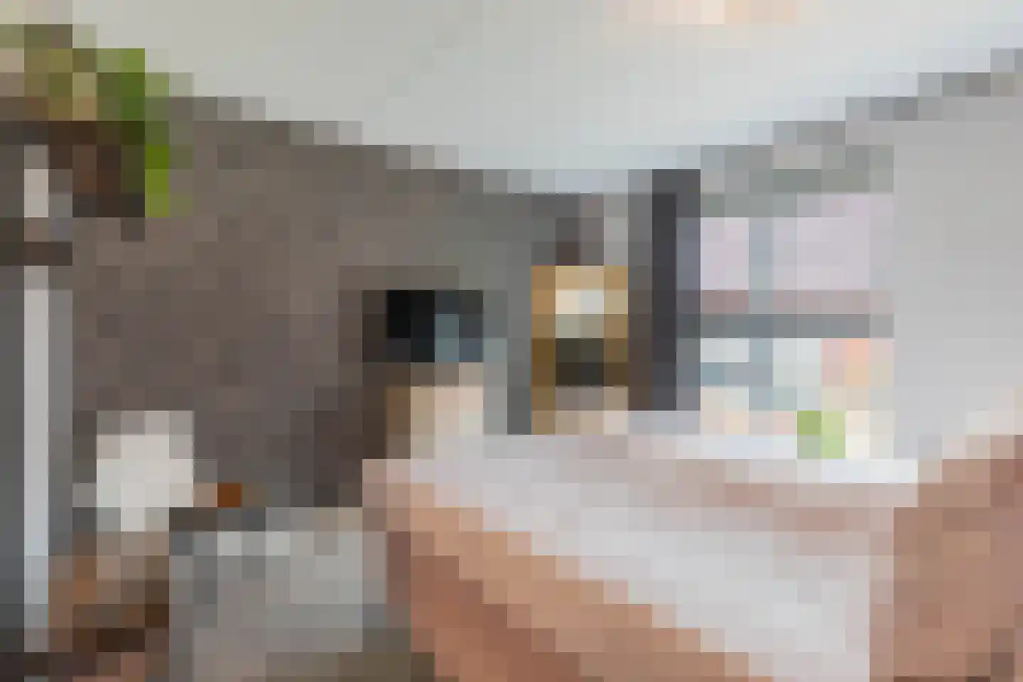 De Bolder 9 Emmeloord thumbnail 35
