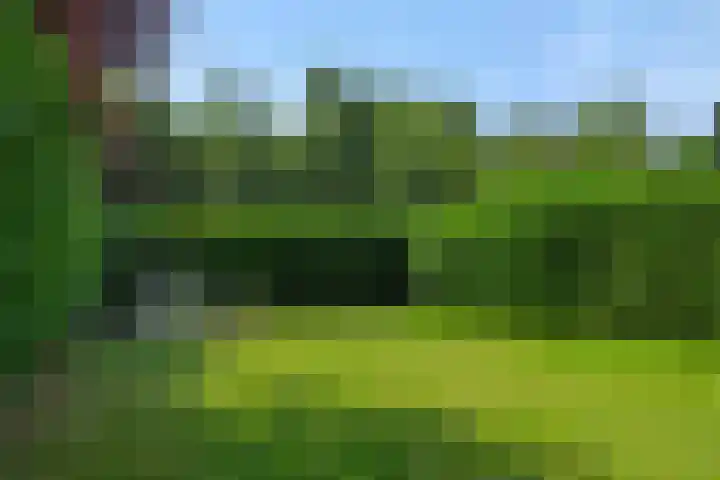 De Bolderik 10 's-Hertogenbosch thumbnail 21